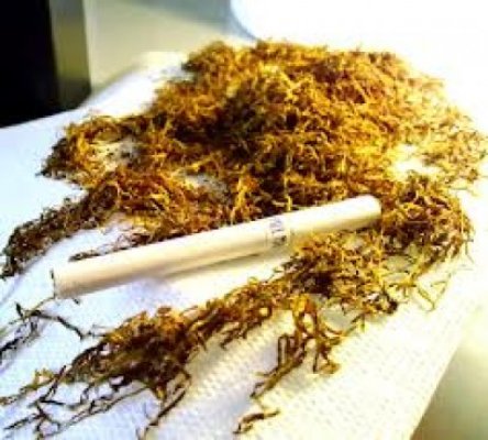 Bota: Preţul tutunului ar trebui să crească cu 25 la sută